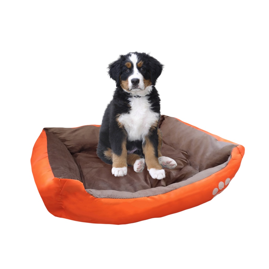 CAMA MOISES MASCOTA A