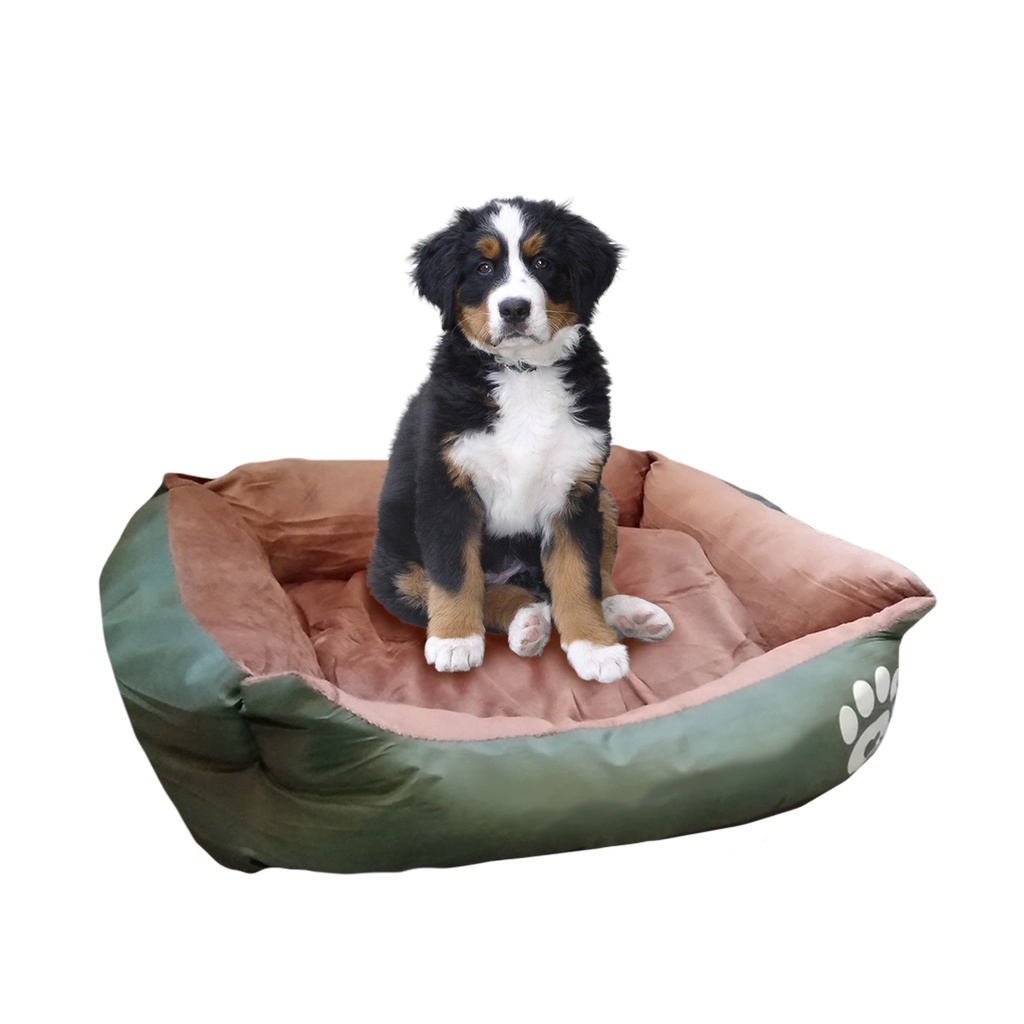 CAMA MOISES MASCOTA A