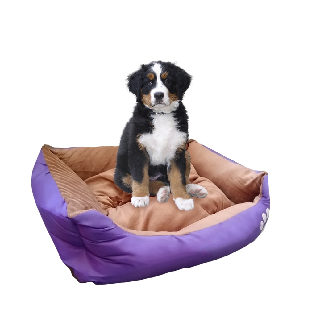 CAMA MOISES MASCOTA A