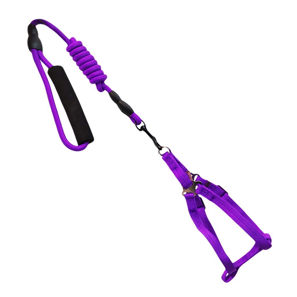 PECHERA + CORREA 0.6X120 CM