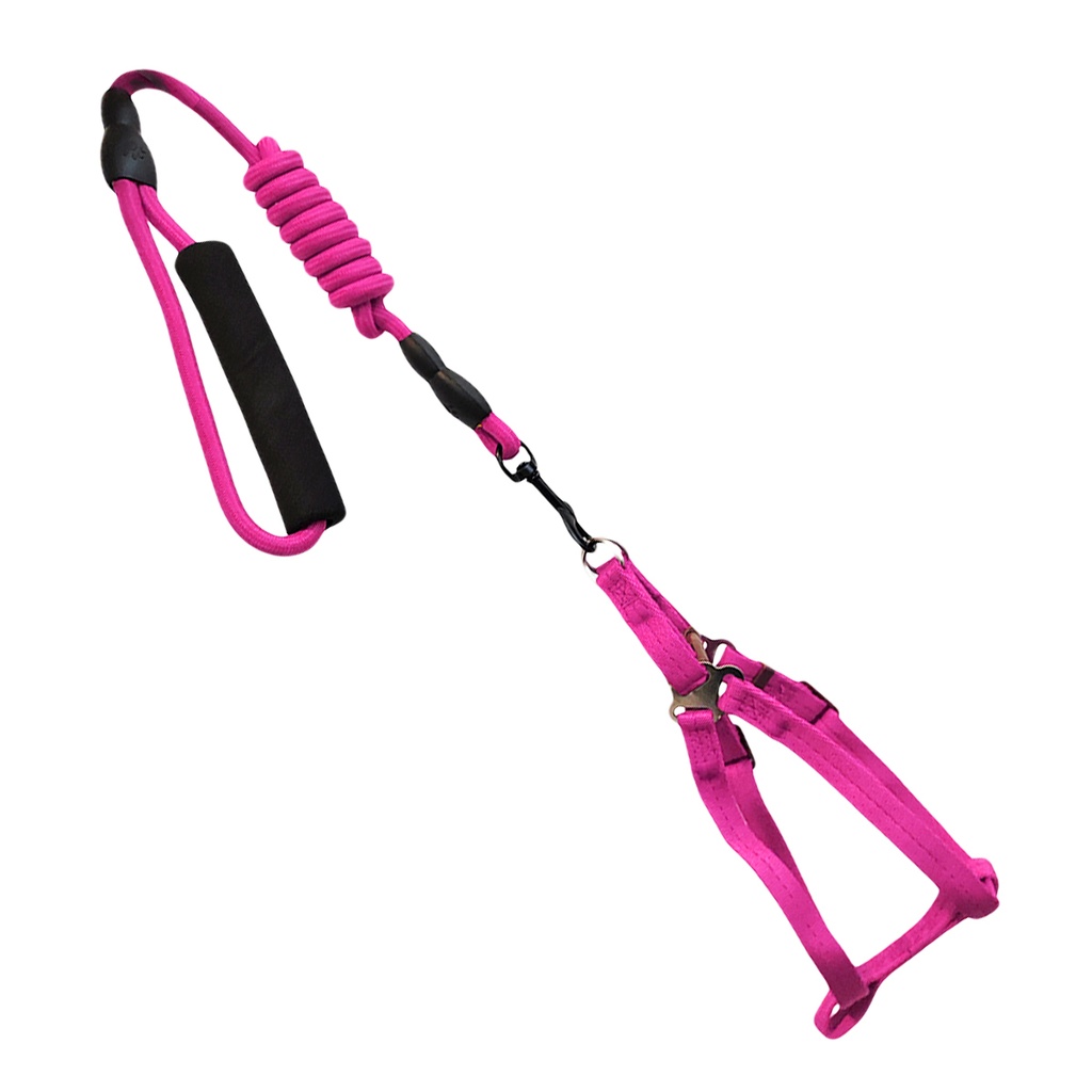 PECHERA + CORREA 1X120 CM