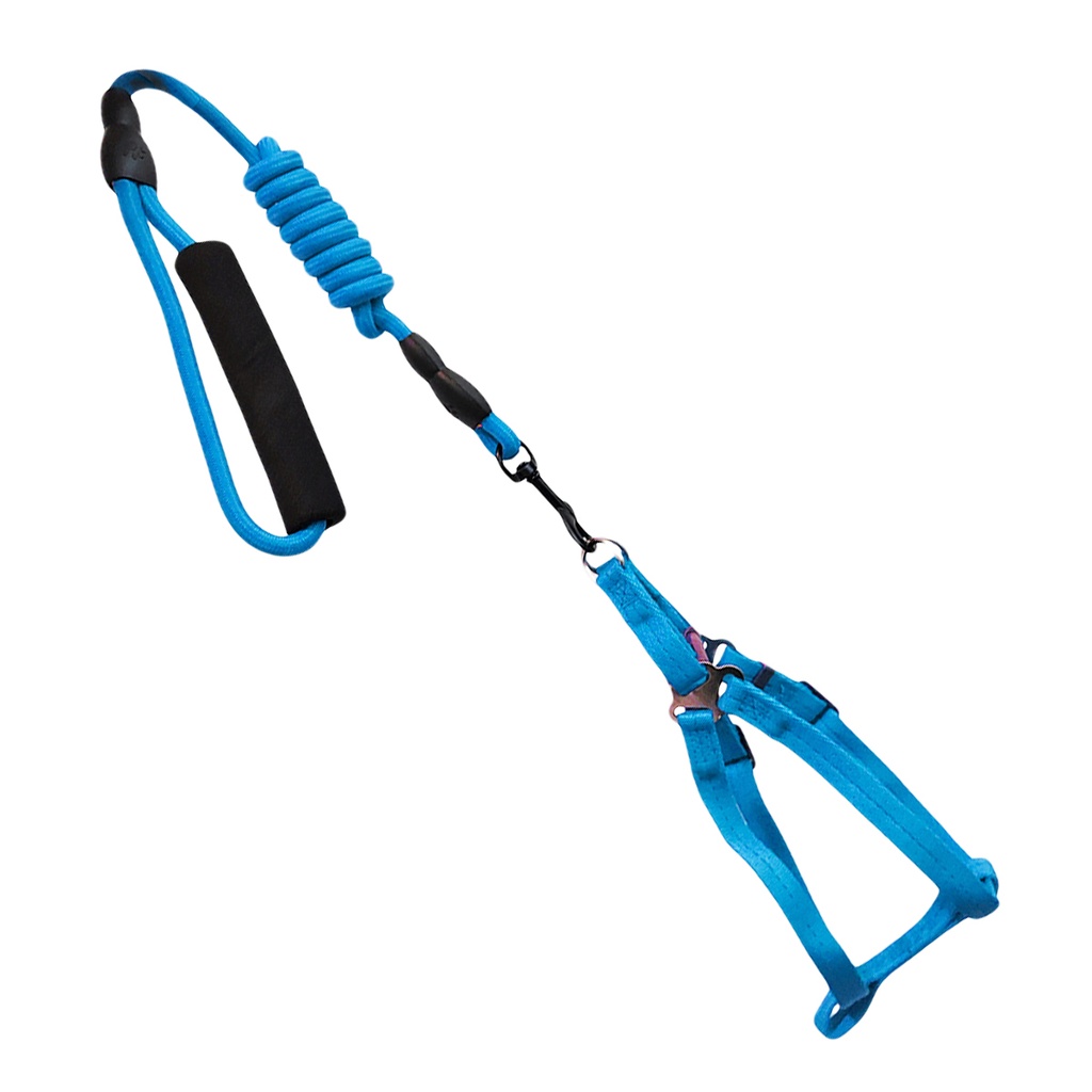 PECHERA + CORREA 1.2X120 CM