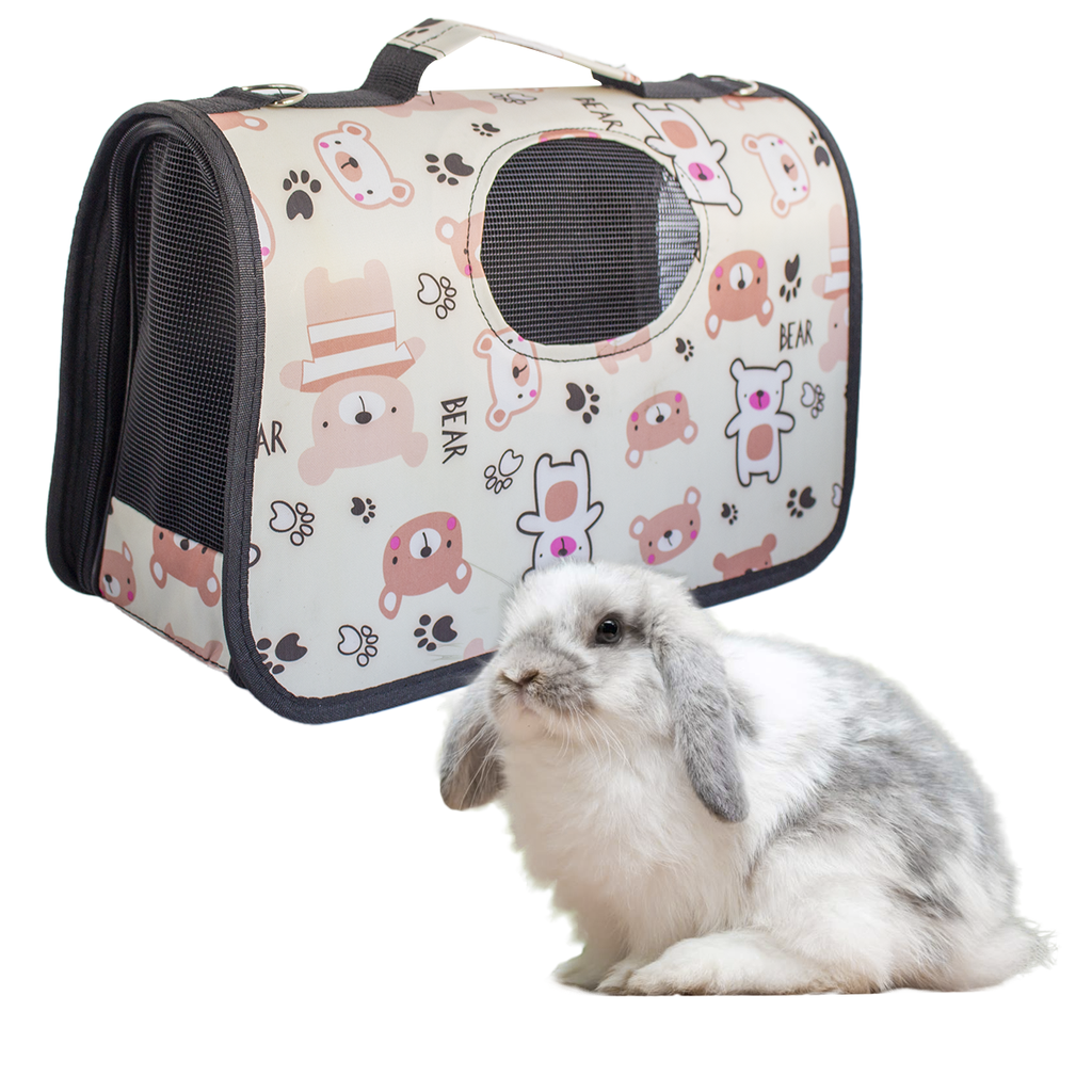 BOLSO TRANSPORTADOR SET X 3 A