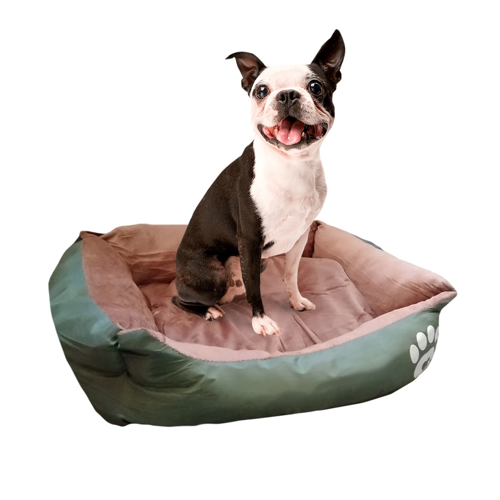 CAMA MOISES MASCOTA B