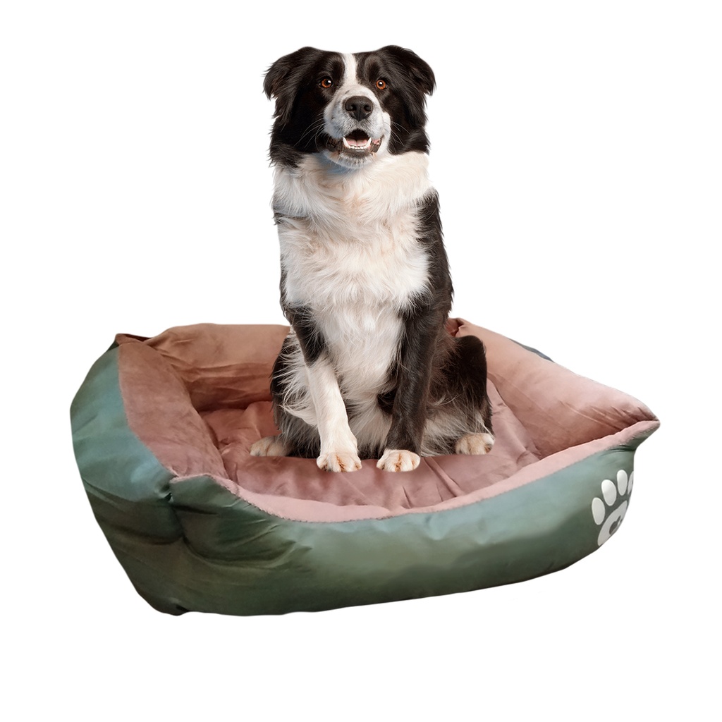 CAMA MOISES MASCOTA C