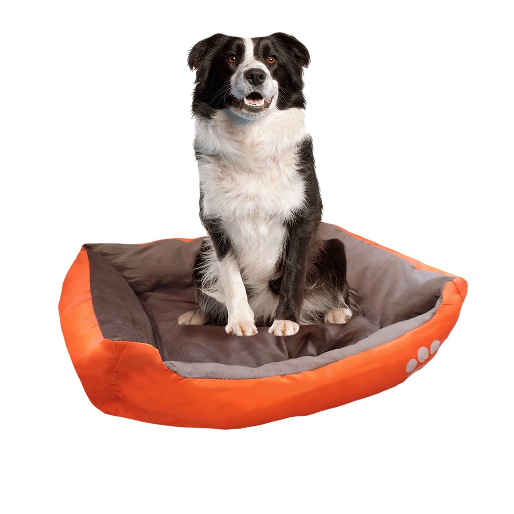 CAMA MOISES MASCOTA C