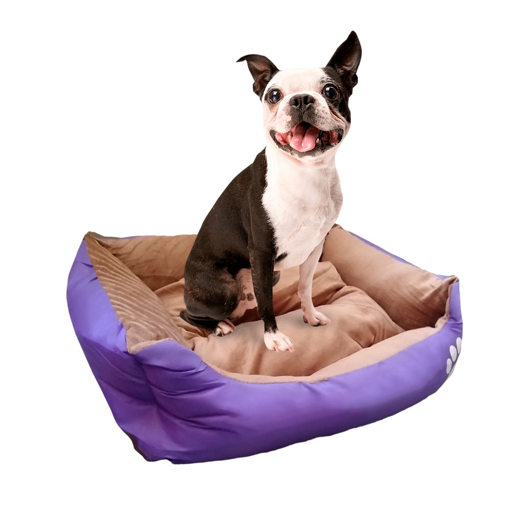 CAMA MOISES MASCOTA B