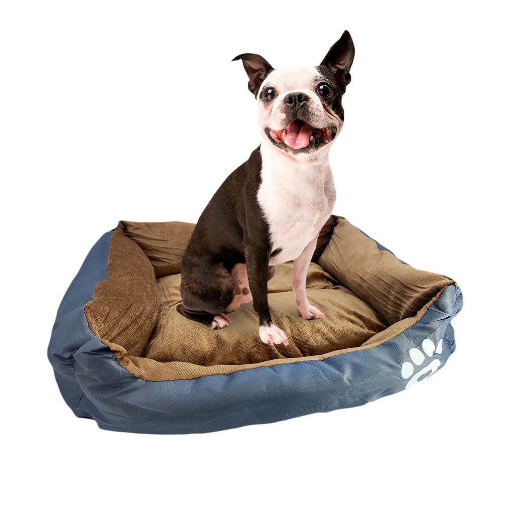 CAMA MOISES MASCOTA B