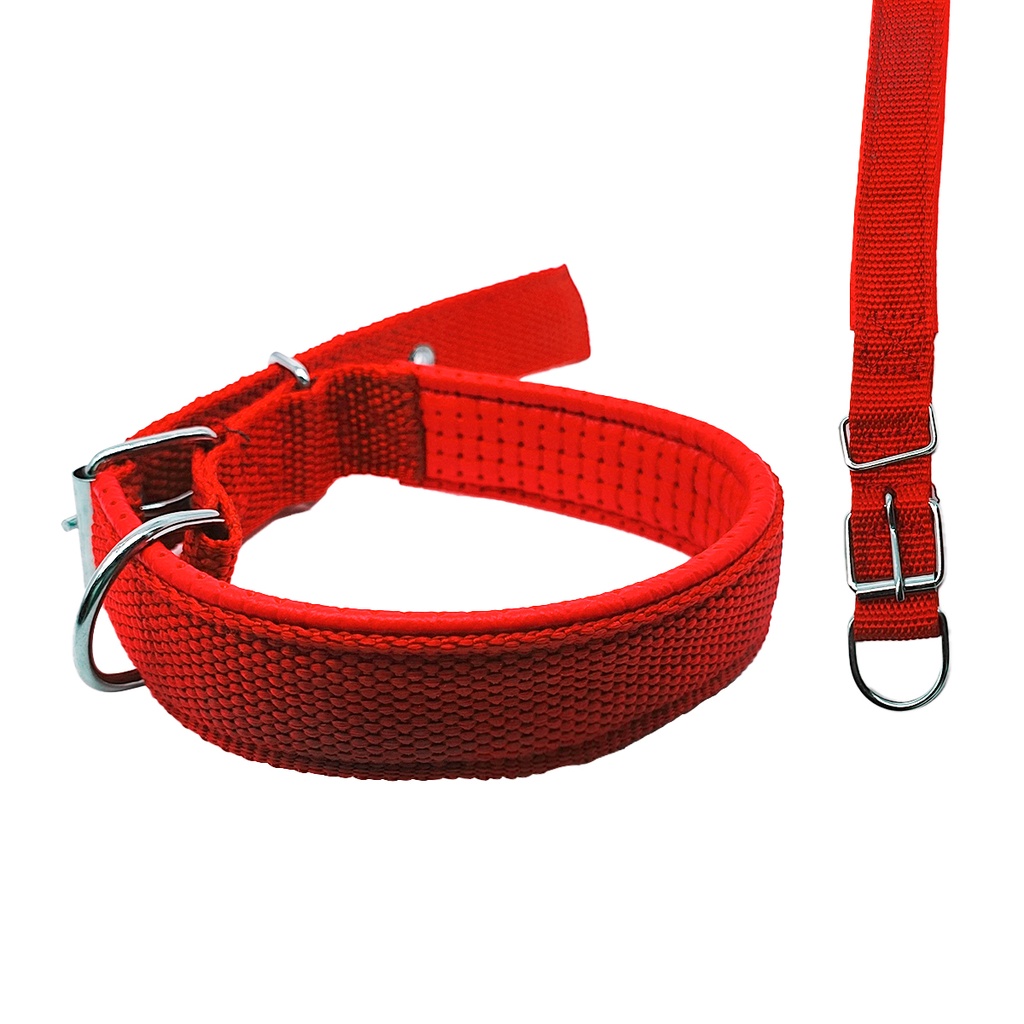 PACK COLLAR PARA PERRO 2.5CM X10