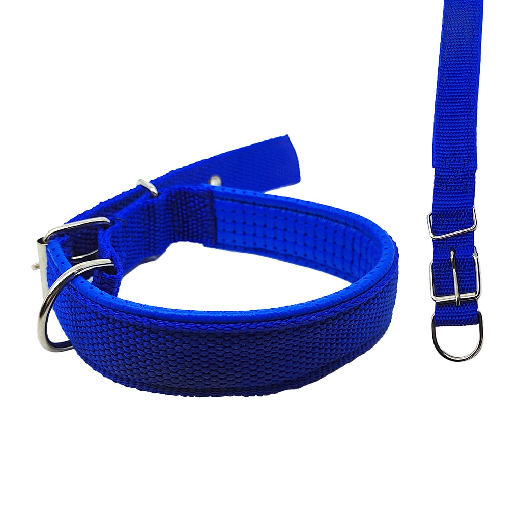 PACK COLLAR PARA PERRO 2.5CM X10