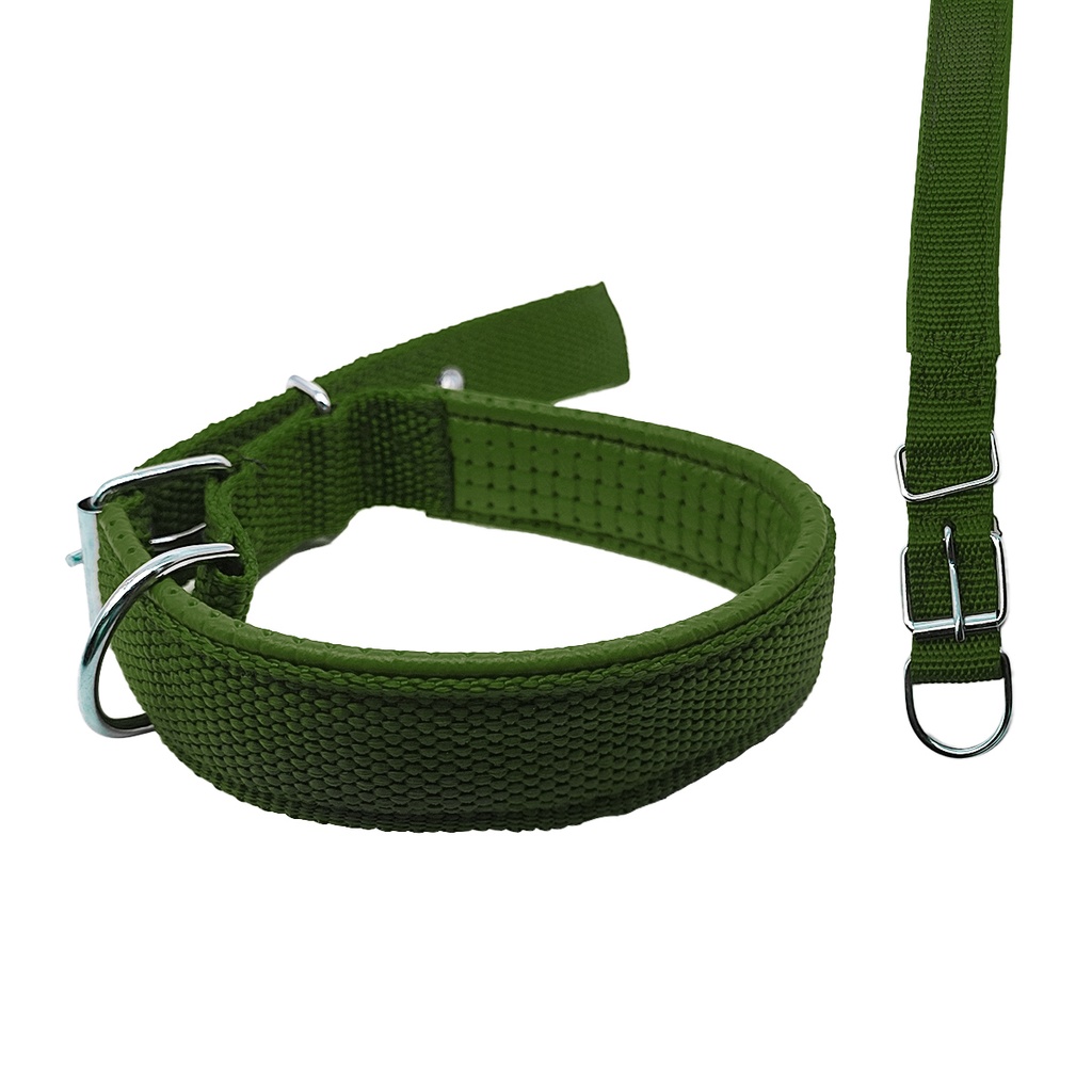 PACK COLLAR PARA PERRO 2.5CM X10