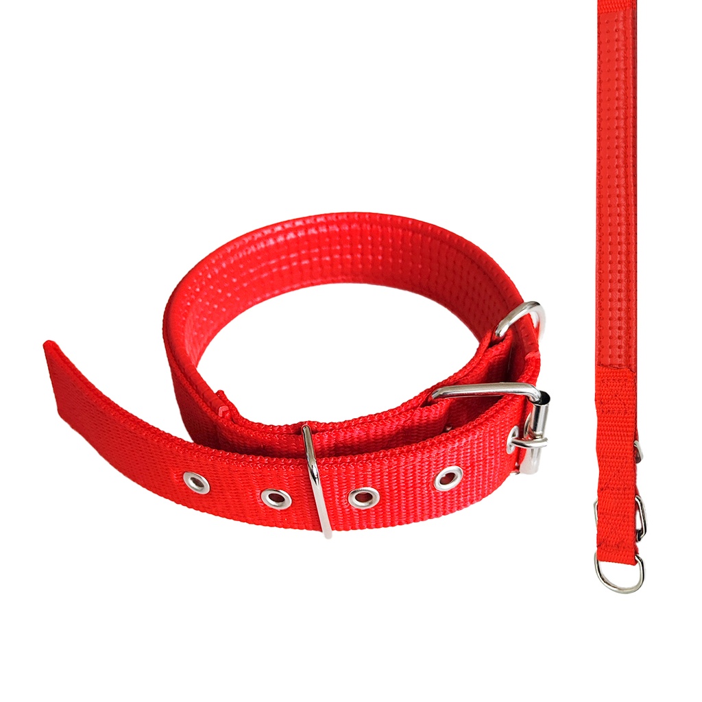 PACK COLLAR PARA PERRO 3CM X10