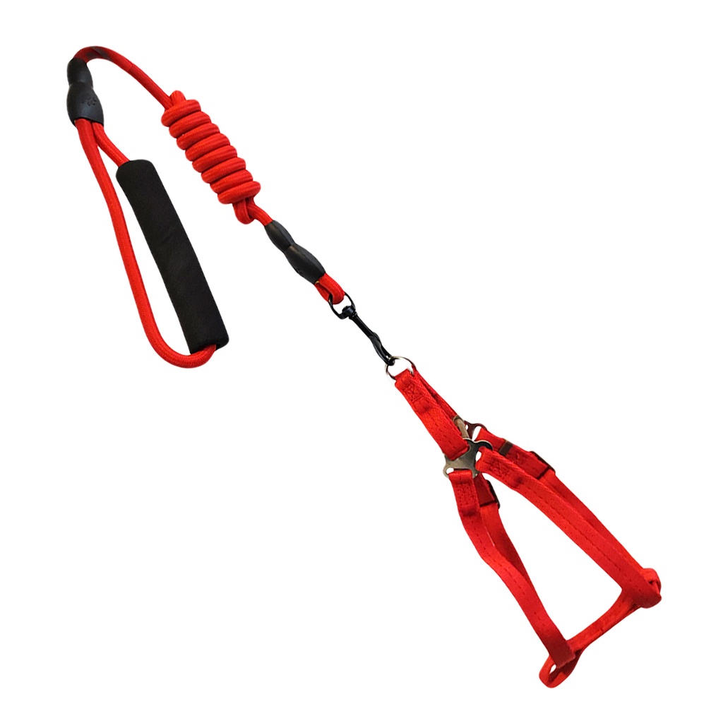 PACK PECHERA + CORREA 0.6X120 CM X5