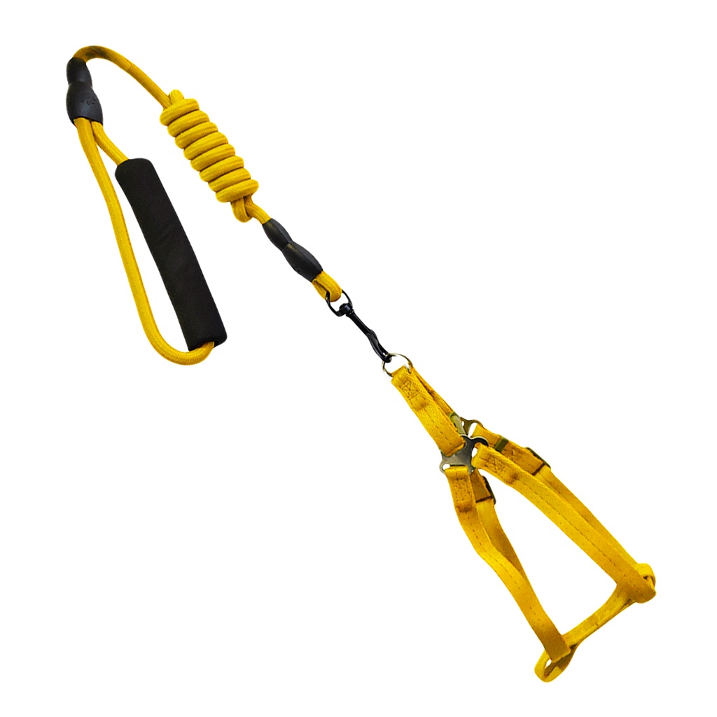 PACK PECHERA + CORREA 0.6X120 CM X5