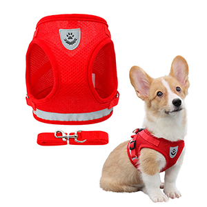 PACK PRETAL ARNES 1.2MTS X5