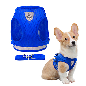 [13027AZMPK-UY] PACK PRETAL ARNES 1.2MTS X5